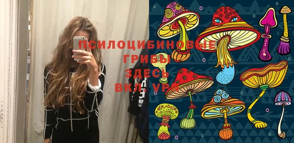 spice Аркадак