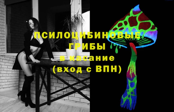 прущая мука Армянск