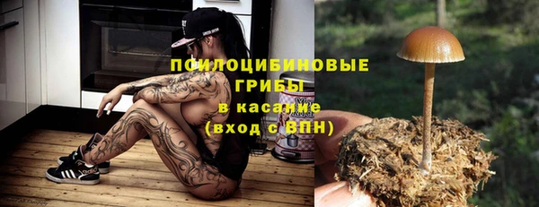 дживик Арсеньев