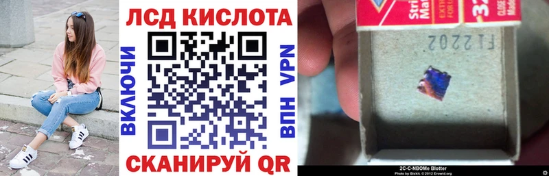 Марки N-bome 1500мкг  Купить закладки  Медвежьегорск 
