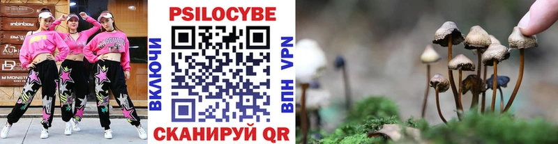 Галлюциногенные грибы MAGIC MUSHROOMS  Купить  Медвежьегорск 